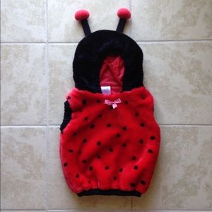 Lady bug costume- 24 month